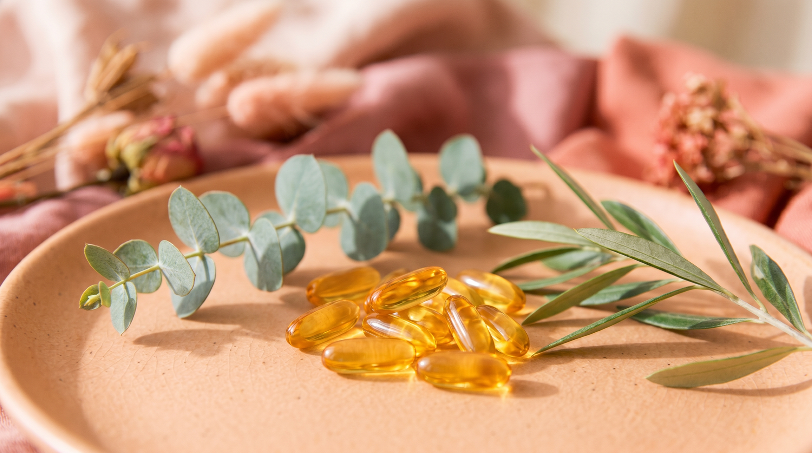 Mitochondria 101: Why Women Search for Energy After 35