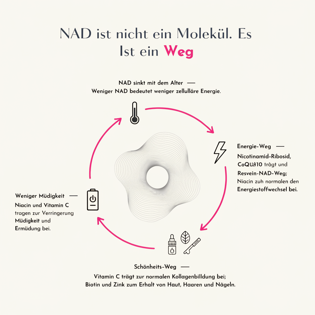 NAD + JUGENDELIXIER